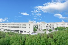 攜手同心、行而不輟，奔赴美好的2024